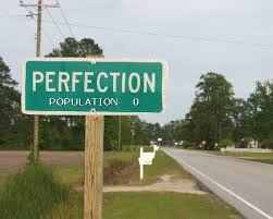 The Great Error in Business: Seeking Perfection