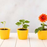 3 Quick Ways to Grow Your Company
